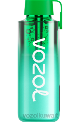 VOZOL Vape Flavours - VOZOL NEON 10000 X00B229 ميامي النعناع