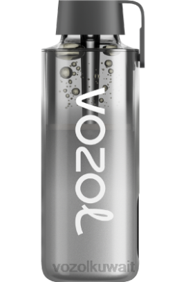 VOZOL Vape For Sale - VOZOL NEON 10000 X00B240 التبغ