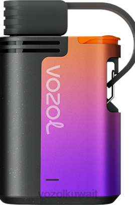 VOZOL Vape Kuwait - VOZOL GEAR 4000ج/6000 X00B324 عاصفة التوت الغابات