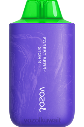 VOZOL Vape Flavours - VOZOL STAR 6000/8000 الإصدار 2 X00B59 عاصفة التوت الغابات