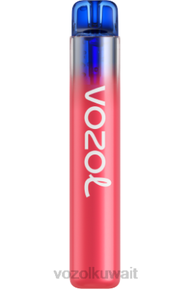 VOZOL Kuwait Price - VOZOL NEON 800 X00B283 جليد التوت