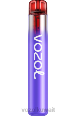 VOZOL Vape Flavours - VOZOL NEON 800 X00B269 ليمون التوت البري