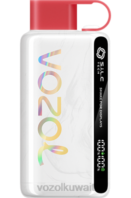 VOZOL Vape Flavours - VOZOL STAR 9000/12000 X00B29 البطيخ التوت