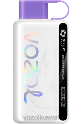 VOZOL Vape سعر - VOZOL STAR 9000/12000 X00B47 حلوى قوس قزح