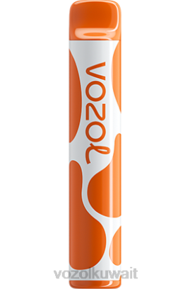 VOZOL Vape Flavours - VOZOL JOYGO 600 X00B379 قهوة