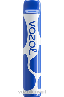 VOZOL Vape For Sale - VOZOL JOYGO 600 X00B390 عاصفة التوت