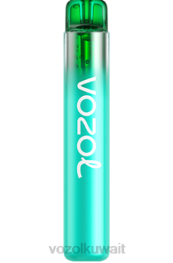 VOZOL Kuwait City - VOZOL NEON 800 X00B246 التوت الحامض
