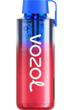 VOZOL Kuwait Price - VOZOL NEON 10000 X00B243 جليد التوت