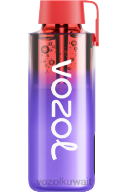 VOZOL Kuwait - VOZOL NEON 10000 X00B242 ثلج بلاك بيري