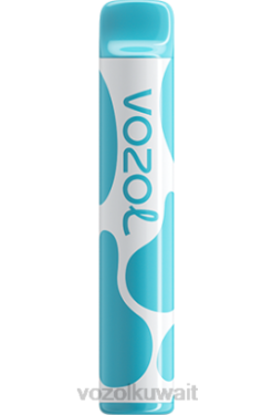 VOZOL Vape سعر - VOZOL JOYGO 600 X00B377 التوت الحامض