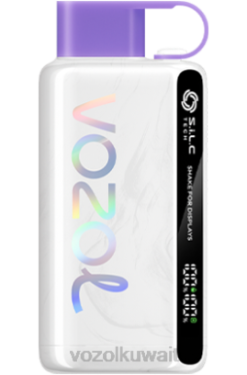 VOZOL Vape سعر - VOZOL STAR 9000/12000 X00B47 حلوى قوس قزح