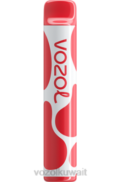 VOZOL Vape Flavours - VOZOL JOYGO 600 X00B389 جليد الخوخ