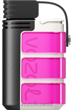VOZOL Vape For Sale - VOZOL GEAR 4000ج/6000 X00B320 ارتفع الوردي