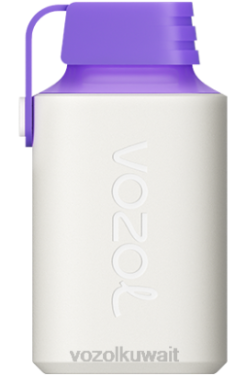 VOZOL Vape For Sale - VOZOL GEAR 600 X00B350 طاقة التوت الغابات