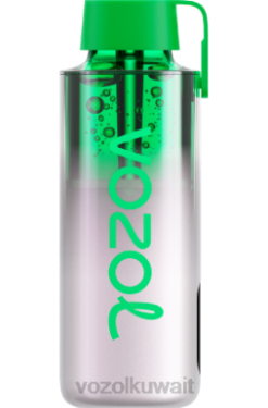 VOZOL Vape Kuwait - VOZOL NEON 10000 X00B234 جليد العنب
