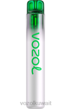 VOZOL Vape Price - VOZOL NEON 800 X00B248 جليد العنب