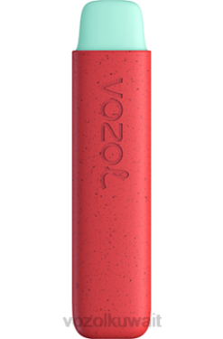 VOZOL Vape Price - VOZOL STAR 550 X00B138 التفاح والخوخ