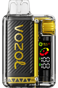 VOZOL Vape Price - VOZOL VISTA 16000/20000 X00B8 جليد المانجو